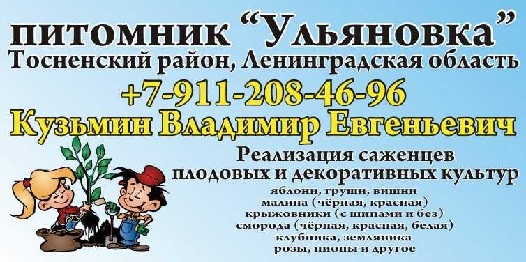 Такси саблино ульяновка номера телефонов