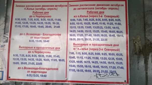 Такси всеволожск